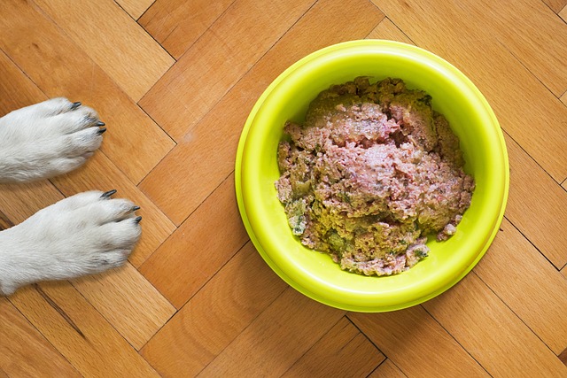 Sådan vælger du den bedste glutenfri hundemad til din firbenede ven